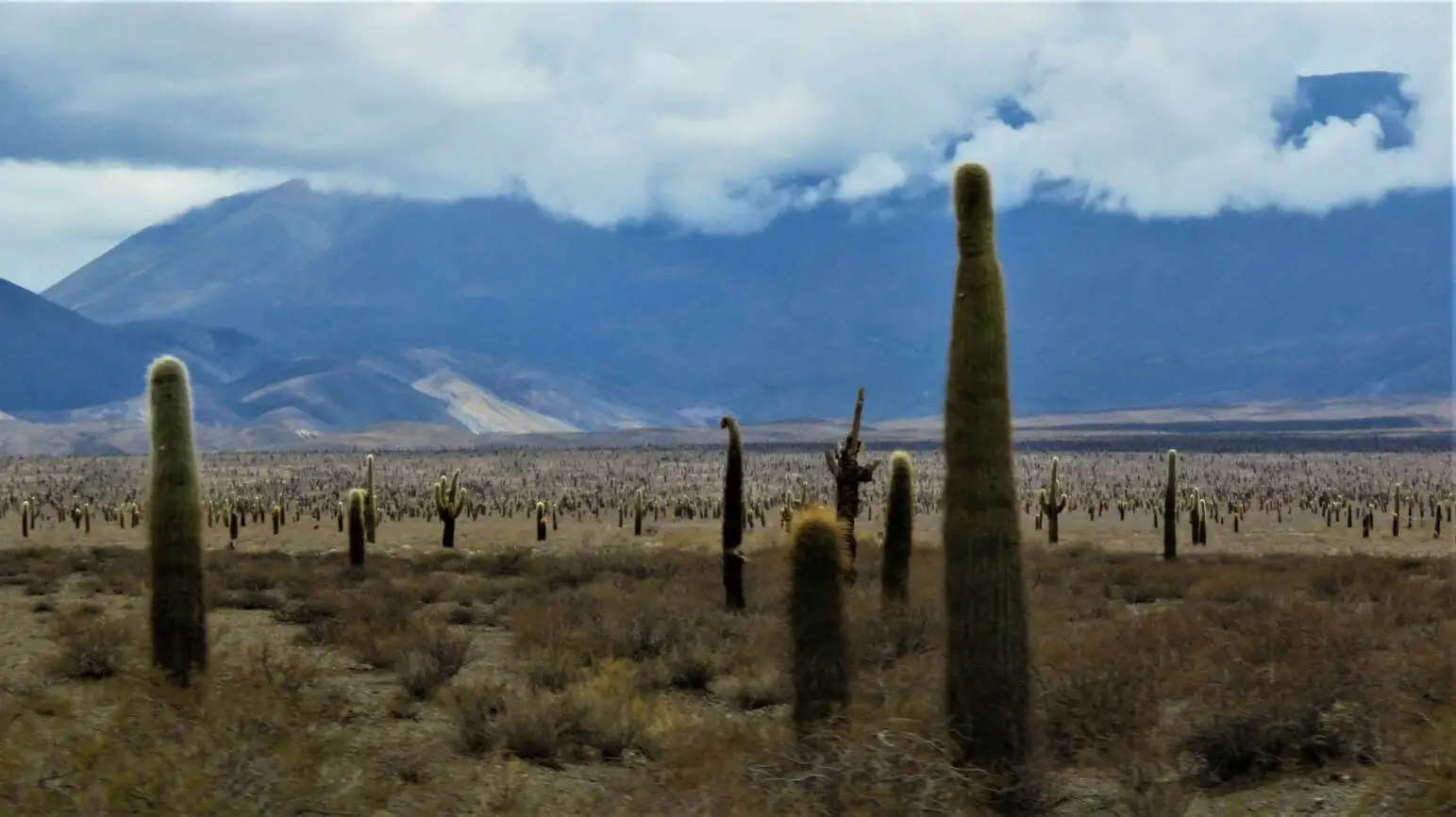 Réveillon 2026 Expedição 4x4 Rota 40 - Província de Jujuy e Noroeste Argentino